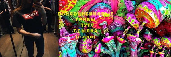 PSILOCYBIN Богородицк