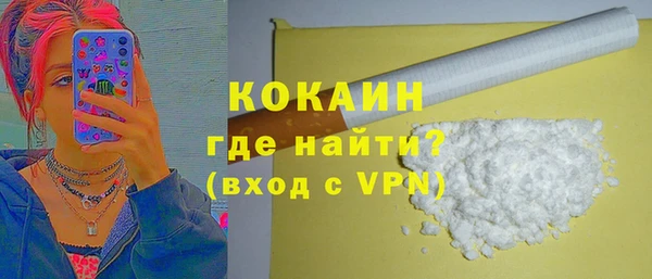 индика Богданович